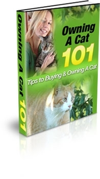 Besitz einer Katze 101 Tipps Deutsch & Englisch