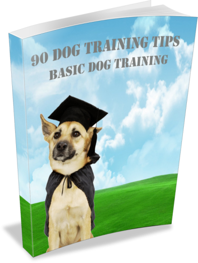 90 Hunde Training Tipps