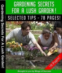 Gartengeheimnisse für einen üppigen Garten!