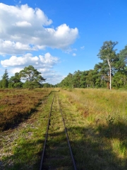 Gleise Torfbahn Tister Bauernmoor
