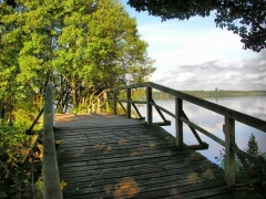 Holzbrücke am Schaalsee HDR