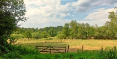 Landschaft Volksdorfer Teichwiesen