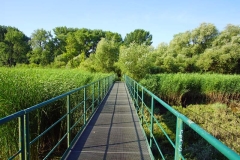 Brücke Heuckenlock